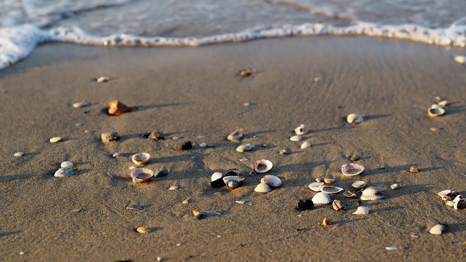 Villa The Perfect Family Retreat - Beahost Bibione